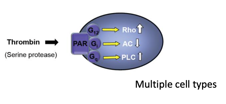<p>Example circuitry?</p>