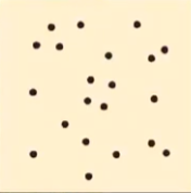 <p>what distribution is this?</p>