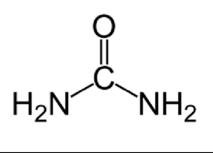 <p>A element that is a key indicator of organic substances. (It is present in the human body.)</p>