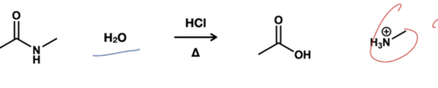 <p>H2O/ HCl, heat; Amides will react with water in the presence of acid catalyst to form carboxylic acid.</p>