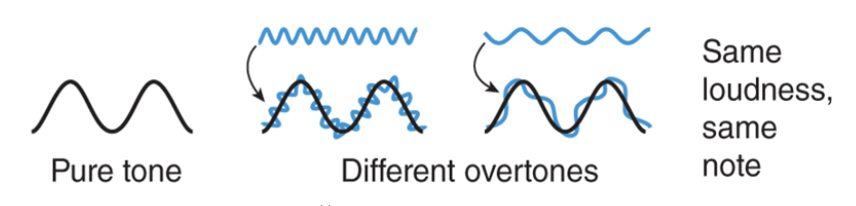 <ul><li><p><span style="font-family: Calibri">The quality of a sound is the overtones that are superimposed on the pitch.</span></p></li><li><p><span>&nbsp;</span>It allows a person to locate the source of the sound as each source produces a different pattern of overtones.</p></li><li><p><span style="font-family: Calibri">Timbre allows us to distinguish between voices and instruments even if they are creating the same tone with the same loudness</span></p></li></ul>