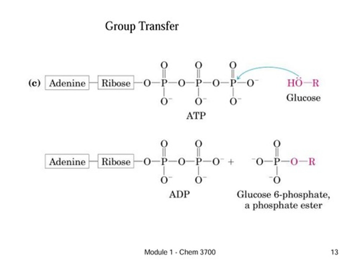 <p>This is the transfer of a functional group (acyl, glycosyl, or phosphoryl) from one molecule to another.</p><p>Key Indicator: A specific group (like phosphate) disappears from a donor (like ATP) and appears on an acceptor molecule</p>