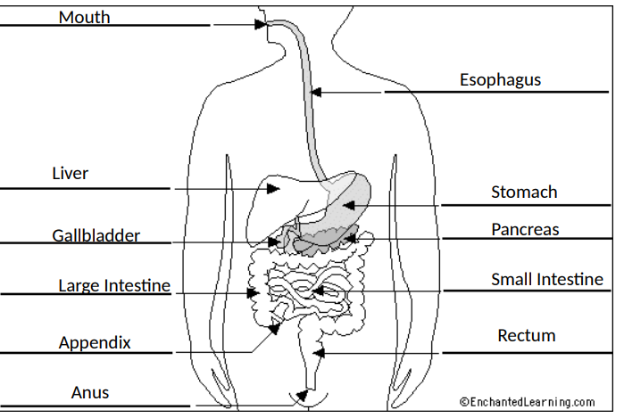 <p>(11)</p>