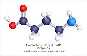 <p>gaba</p>
