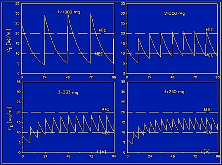 <p><span>Since the duration of action is ~4 half-lives, a drug should be </span><span><strong><span>readministered at multiples of the half-life</span></strong><span>:</span></span></p><ul><li><p><span>The drug concentration reaches a </span><span><strong><span>steady state</span></strong><span>&nbsp;after ~4 half-lives.</span></span></p></li></ul><ul><li><p><span>1st dose: 100%, drops to 50% after T</span><span><sub><span>1/2</span></sub></span></p></li><li><p><span>2nd dose: 50% → 150%, drops to 75% after T</span><span><sub><span>1/2</span></sub></span></p></li><li><p><span>3rd dose: 75% → 175%, drops to 87.5% after T</span><span><sub><span>1/2</span></sub></span></p></li><li><p><span>4th dose: 87.5% → 187.5%, drops to 93.75% after T</span><span><sub><span>1/2</span></sub></span></p></li></ul><p></p>