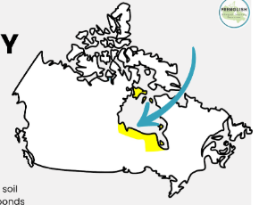 <p>Hudson Bay Lowlands</p>