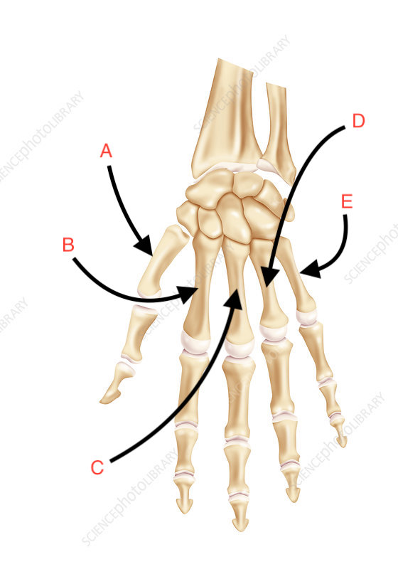 <p>What is E?</p>