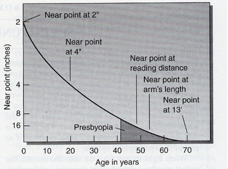 <p>throughout aging the distance of the near point increases due to a mix of the hardening of the lens and weakening of ciliary muscles</p><ul><li><p>corrective lenses needed for close activities like reading</p></li><li><p>kinda like hyperopia that happens due to old age</p></li></ul><p></p>