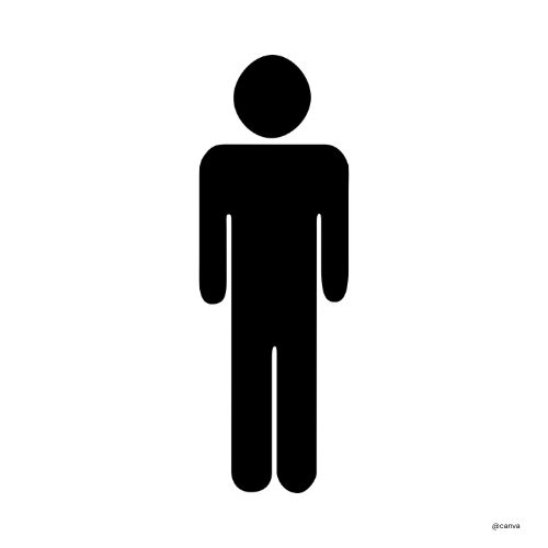 <p><strong>staan</strong></p><p>stond – stonden – gestaan</p>