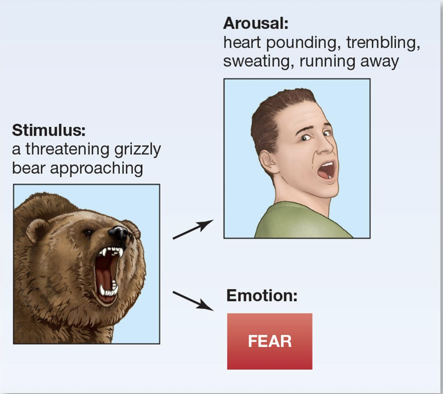 <p>proposed that the mind and body experience emotions independently. Info about emotional stimuli is sent simultaneously to the cortex and the body and results in emotional experience and bodily reactions respectively. As a result, we experience two separate things at roughly the same time: an emotion and <span style="line-height: normal;"><span>a physical reaction.</span></span></p>