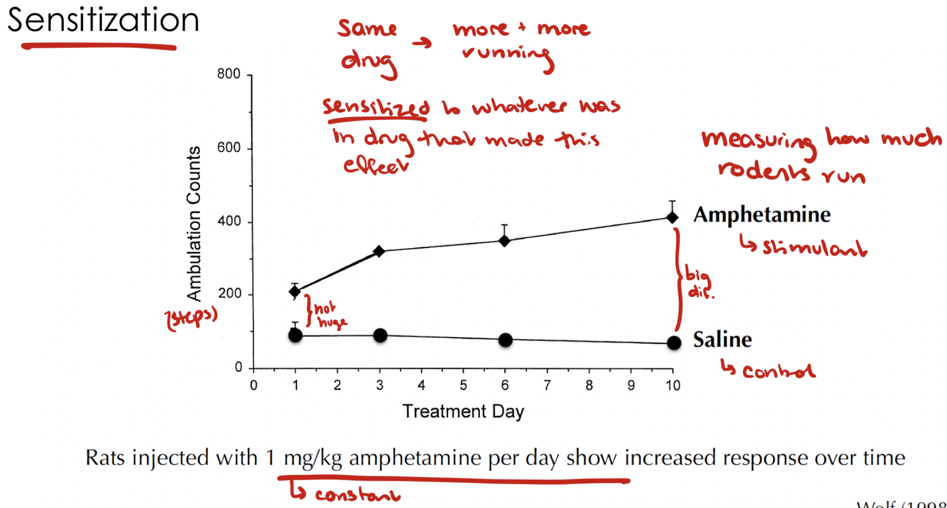 <ul><li><p>Rats injected with the same dose of amphetamine every day increased response (step counts) with time</p><ul><li><p>Sensitized → same amount of same drug was increasing outcome </p></li></ul></li></ul><p></p>