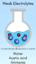 <p>Weak Electrolytes</p>