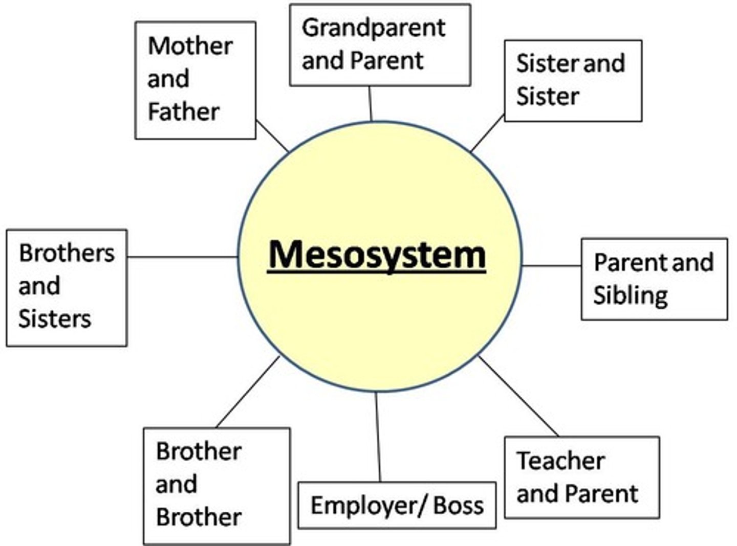 <p>a connection of two or more microsystems, such as a child's home and school</p>