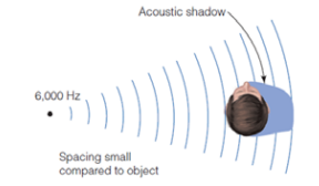 <p>Acoustic Shadow</p>