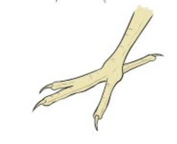 knowt flashcard image