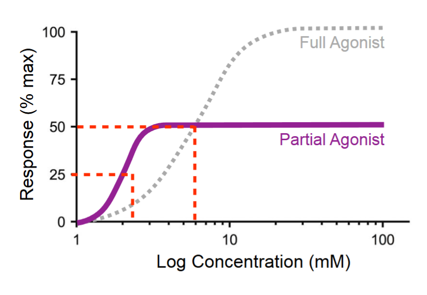 <p>has less of an effect (can still be more potent than a full agonist)</p>