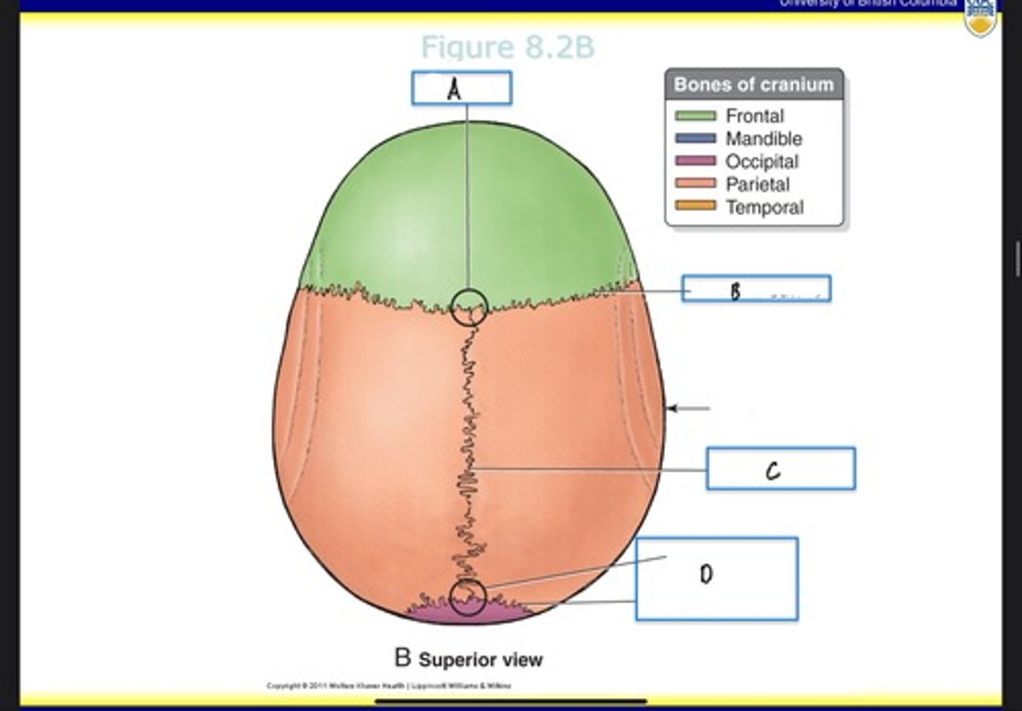 <p>What is B?</p>