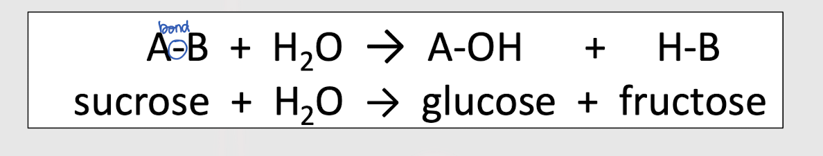 <p>Identify this reaction </p>