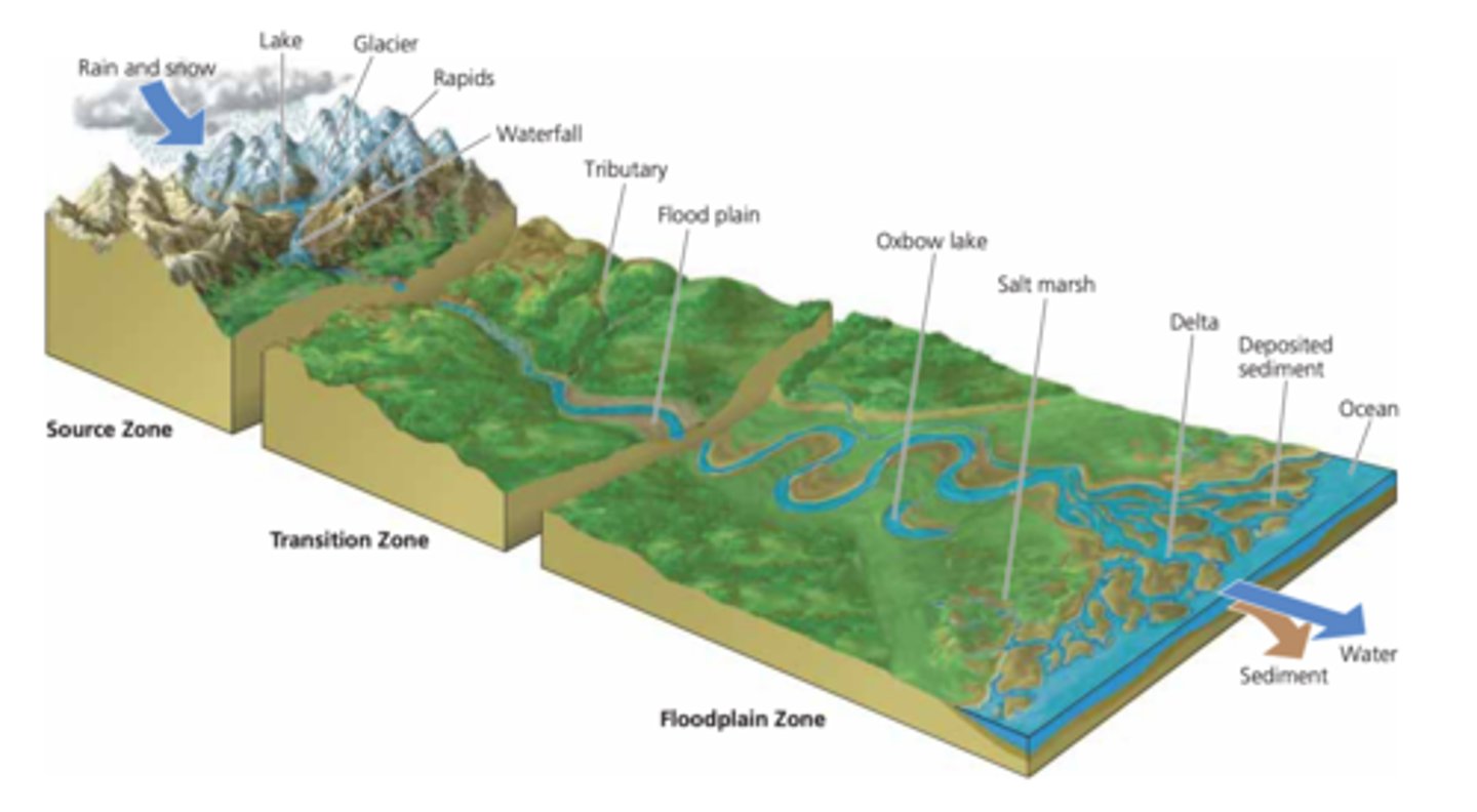 <p>low-lying areas that experience wide, slow-moving rivers that will occasionally flood and deposit material from upstream; water continues to warm, oxygen levels decrease, nutrients continue to increase</p>