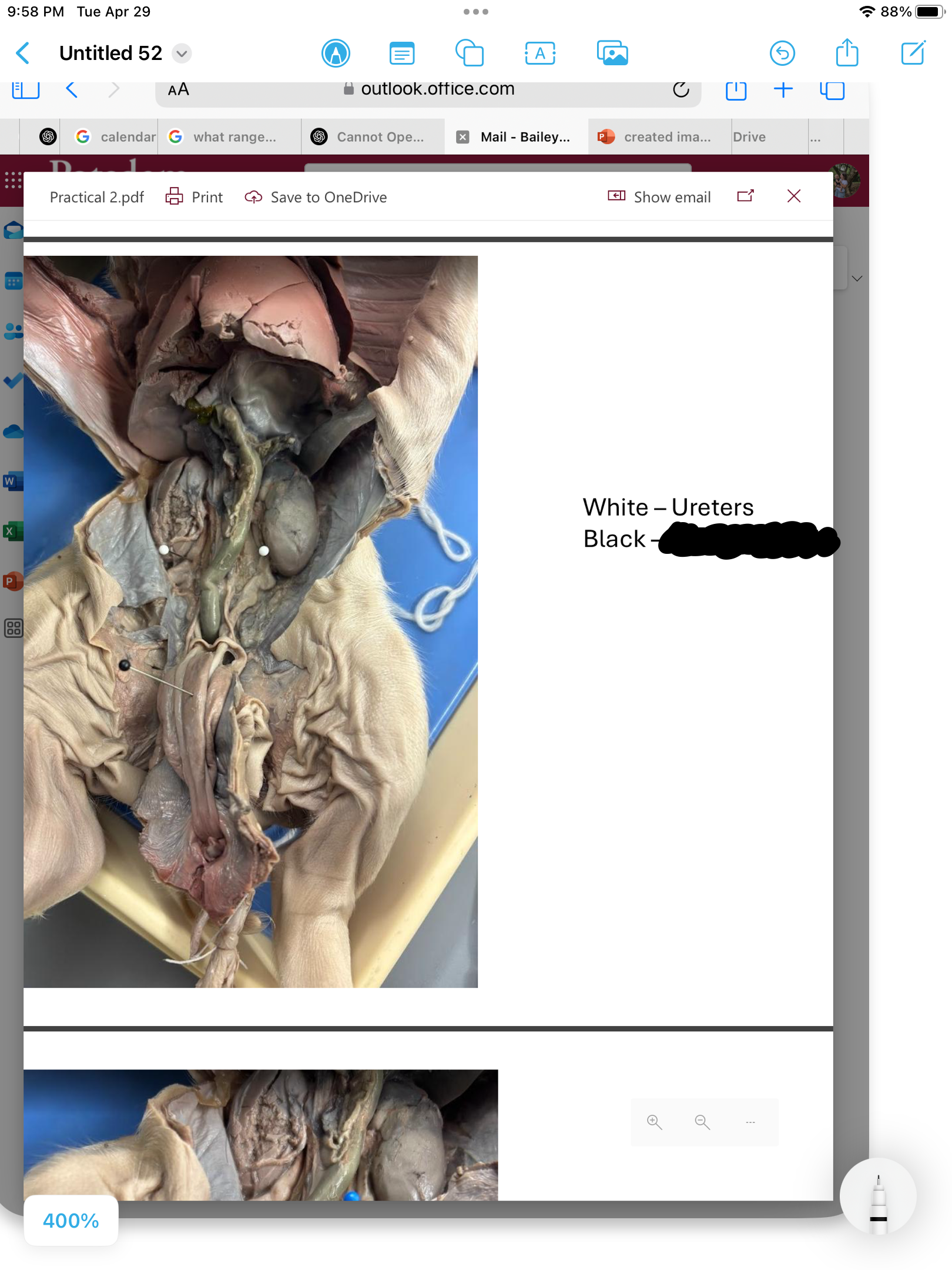 <p>label the area</p>