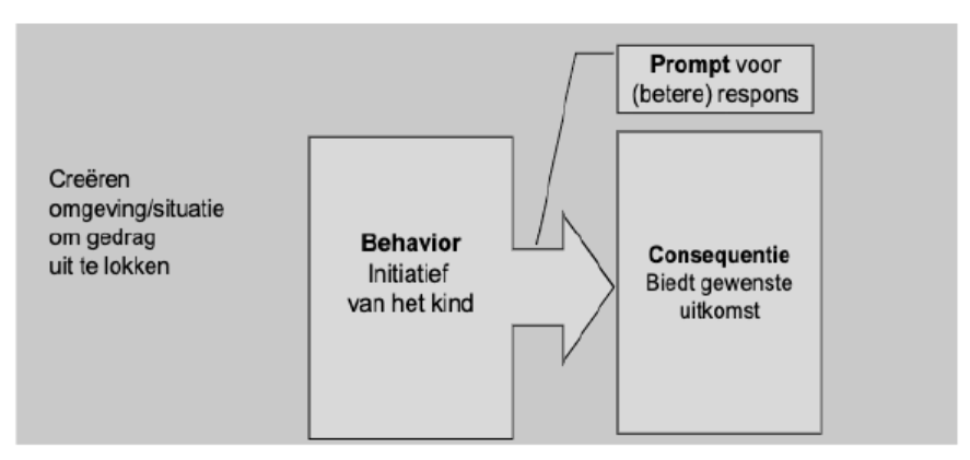 <p>Het creeren van een omgeving of situatie om bepaald gedrag uit te lokken. Wanneer het kind initiatief neemt tot bepaald gedrag, kun je prompten voor een nog betere respons.</p><ul><li><p>Consequentie biedt een meer gewenste uitkomst. </p></li></ul><p></p>