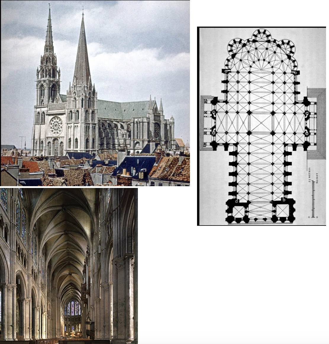 term image