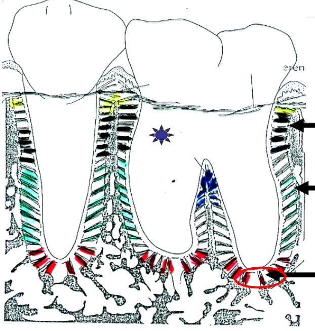 <p>What is this?</p>