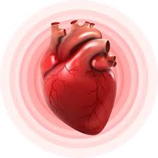 <p>Heart Failure-chronic</p>