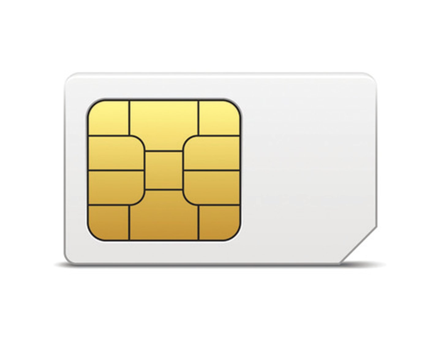 <p>SIM card</p>
