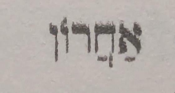 term image