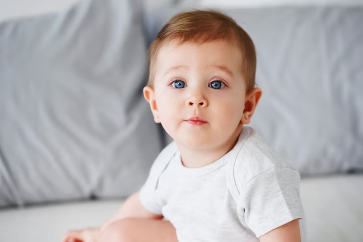 <p>Baby</p>