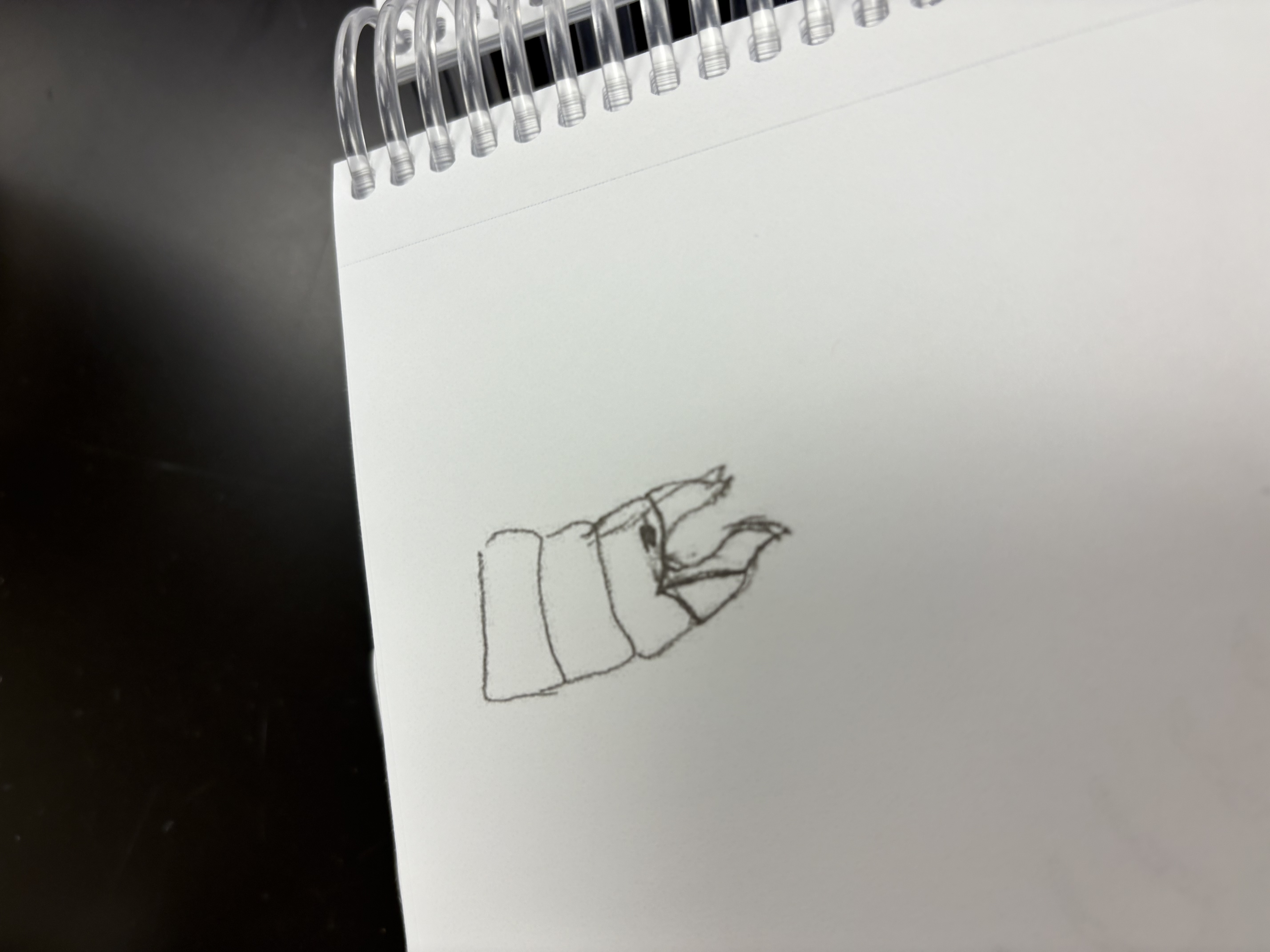 <p>fmeale reproductoion organ in class Orthoptera </p>