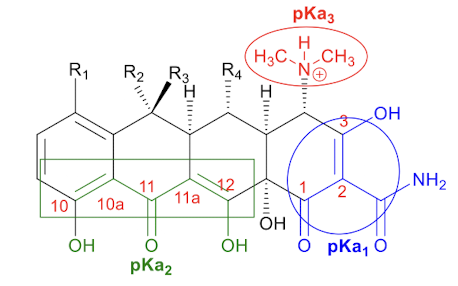 <p>Typical pKa range of pKa<sub>3</sub></p>