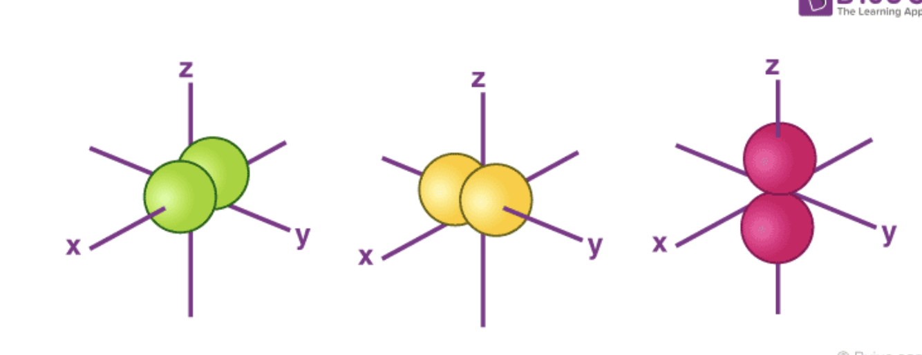 <p>Two lobes that lie on either side of the plane and pass through the nucleus. (Dumbell Shaped)</p>