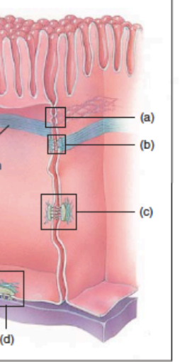 <p>What is the thick blue line?</p>