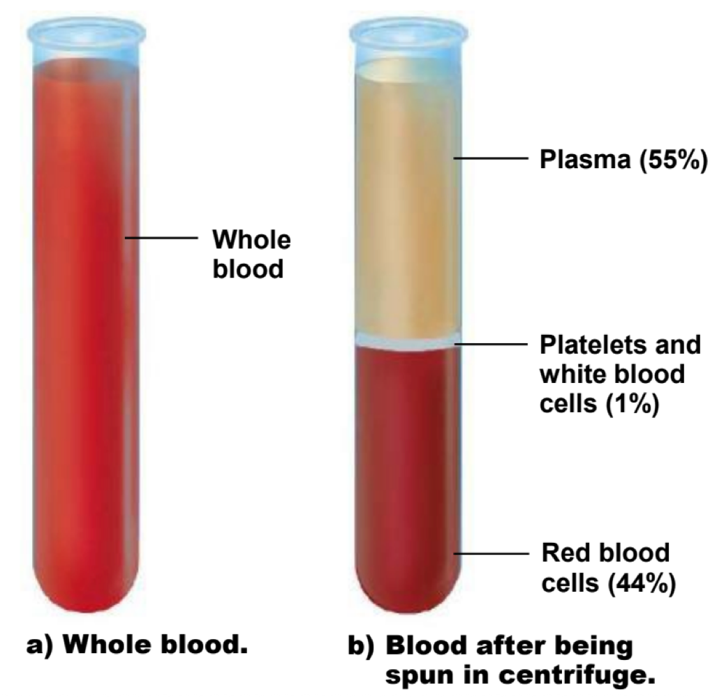 <p>hematocrit (centrifusion) </p>