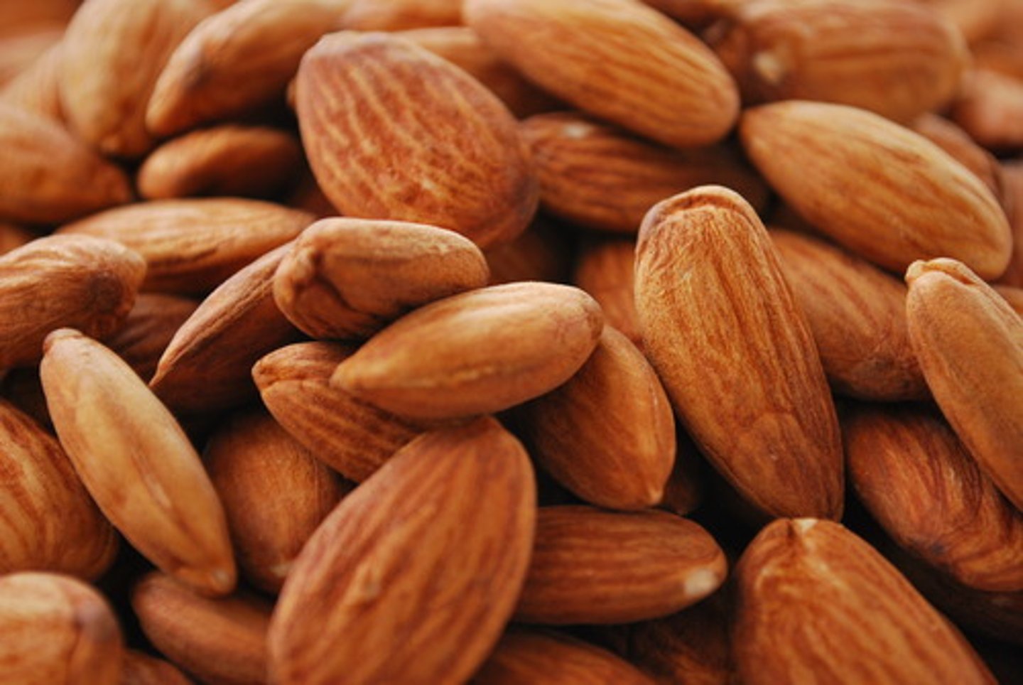 <p>almonds</p>