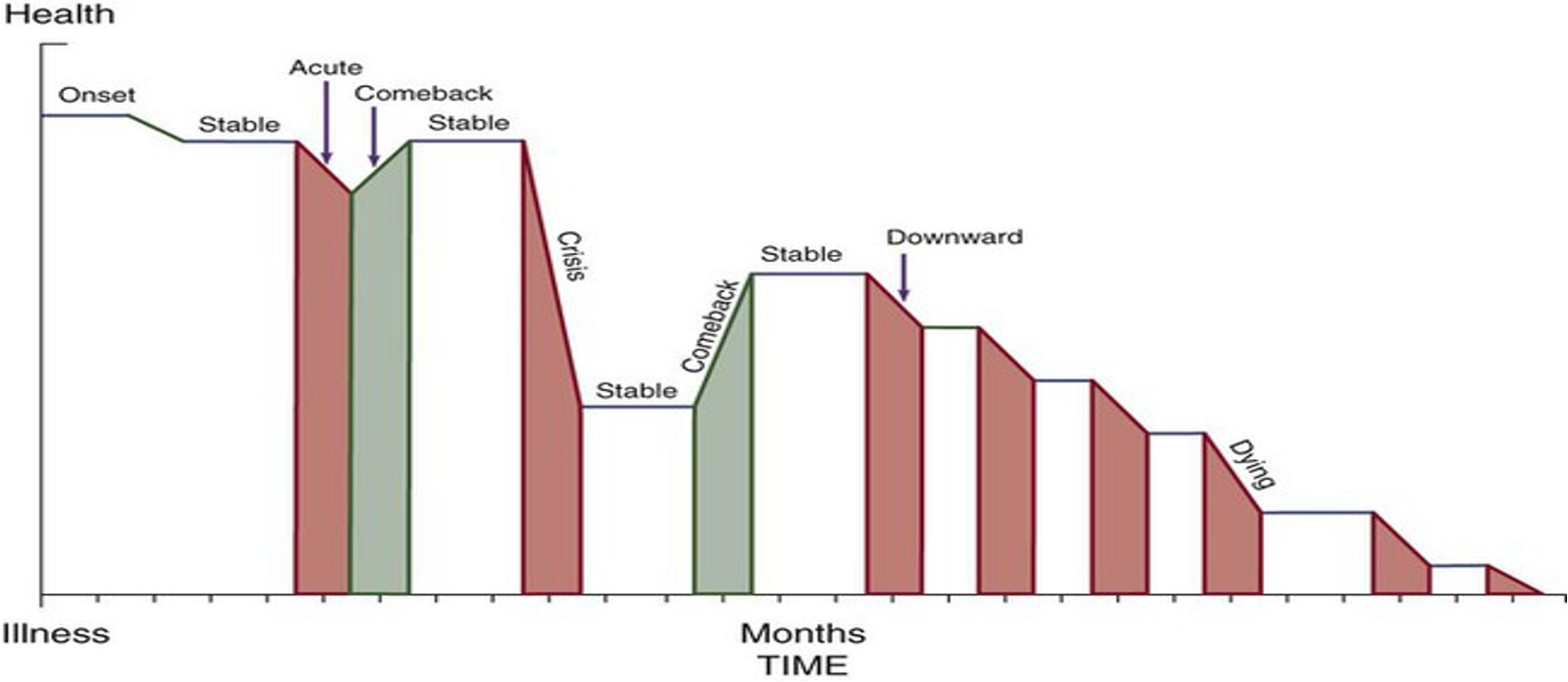 <p>Shows the phases of CIT</p>