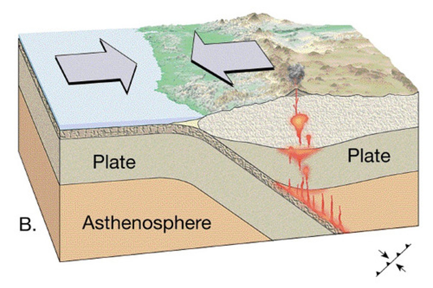 <p>Convection currents cause two plates to collide. The heavier plate sinks into the mantle and is destroyed. The lighter plate buckles upwards, creating fold mountains and sometimes volcanoes.</p>