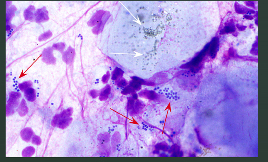 <p>Who’s at this party</p>