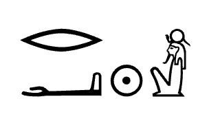 term image
