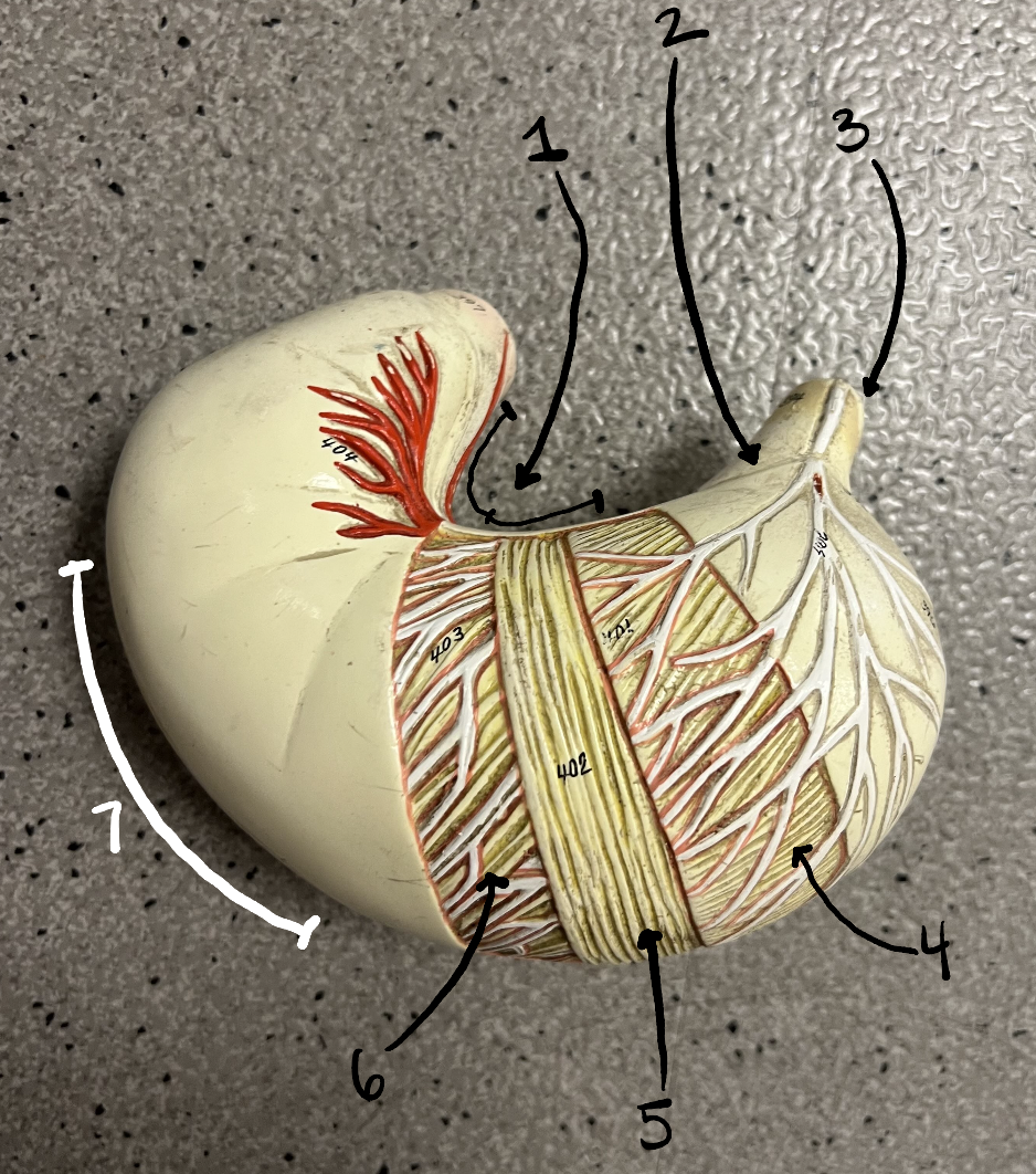 <p>5</p>