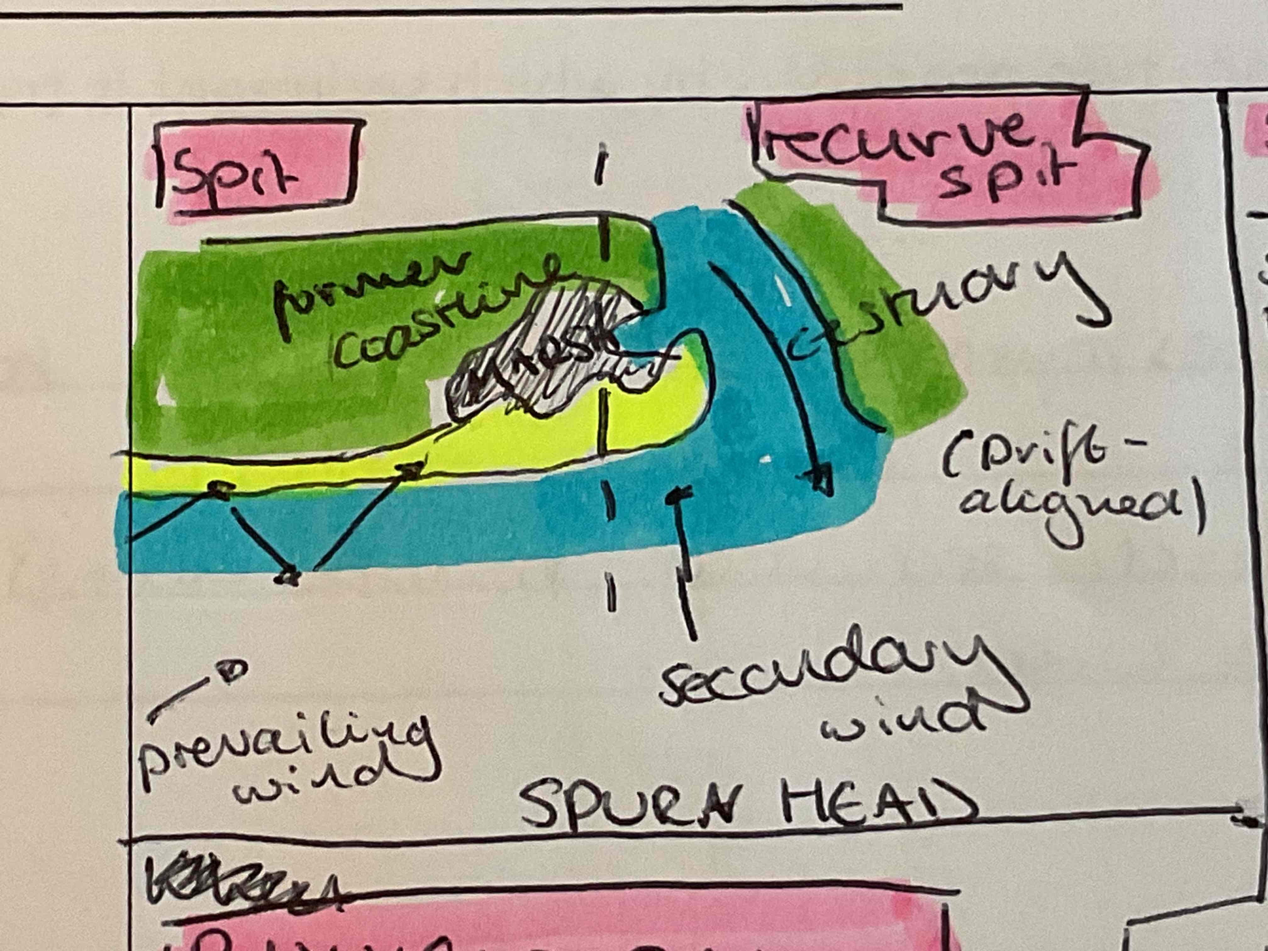 <p><u>Spit</u></p><ul><li><p>LSD continuously deposits sediment beyond a turn in the coastline</p></li><li><p>Length is dependent on amount of sediment transported or the flow of a river carrying sediment away</p></li></ul><p><u>Recurve</u> </p><ul><li><p>when the end of a spit curves landwards into shallower water due to secondary wind</p></li></ul>