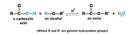 The reaction of a carboxylic acid and alcohol in the presence of an acid catalyst to produce and ester. 

The main chain of an ester comes from the carboxylic acid, while the alkyl group in an ester comes from the alcohol