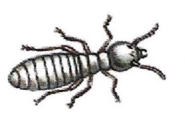 <p>ఇది ఏమిటి?</p>