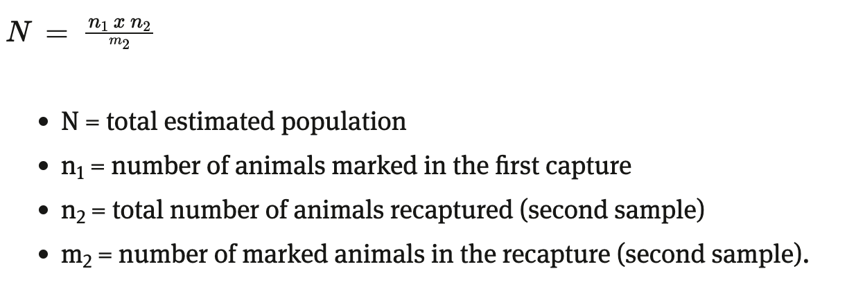 <p>A formula used to estimate the size of entire population </p>