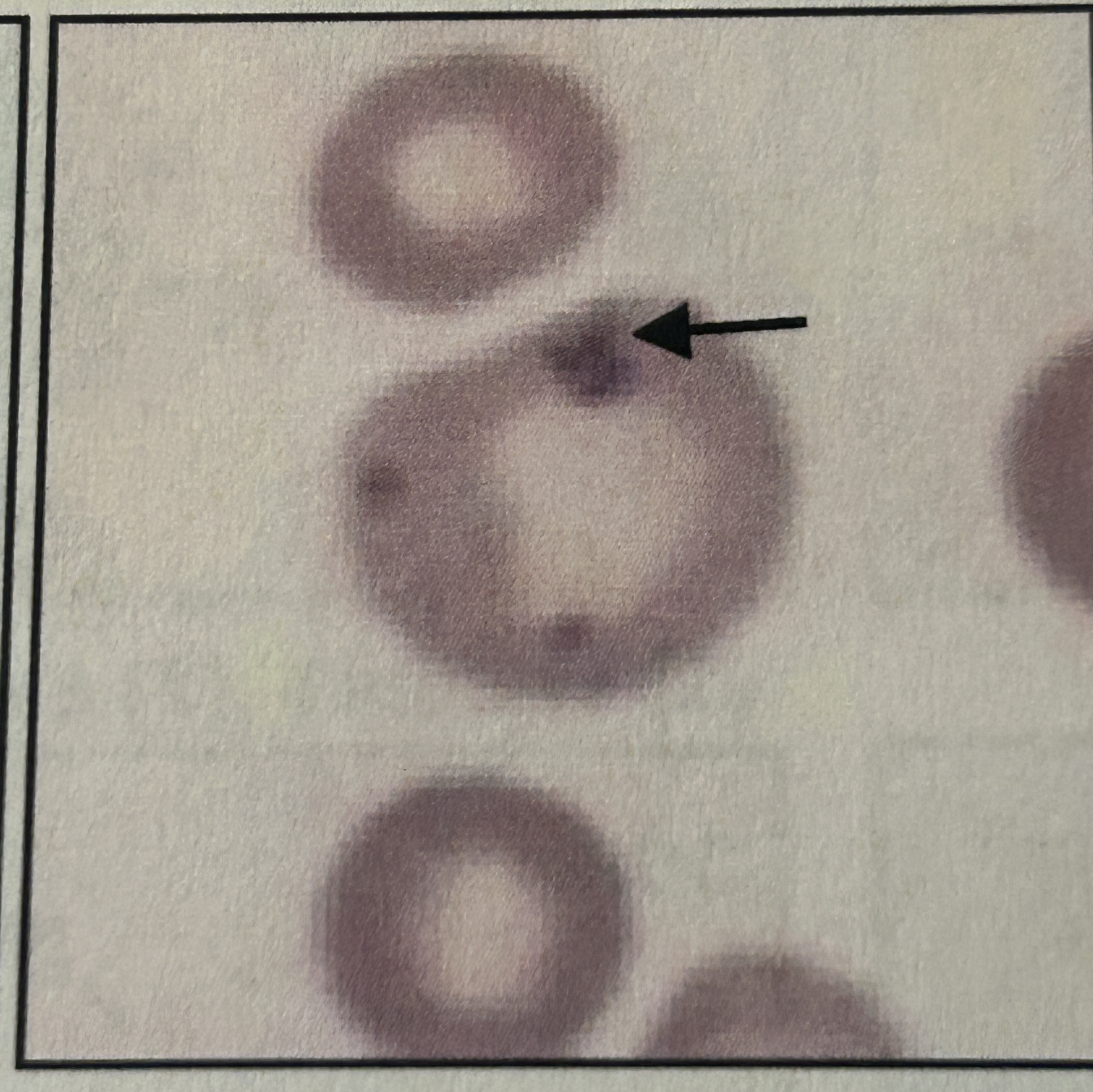 <p>?</p>