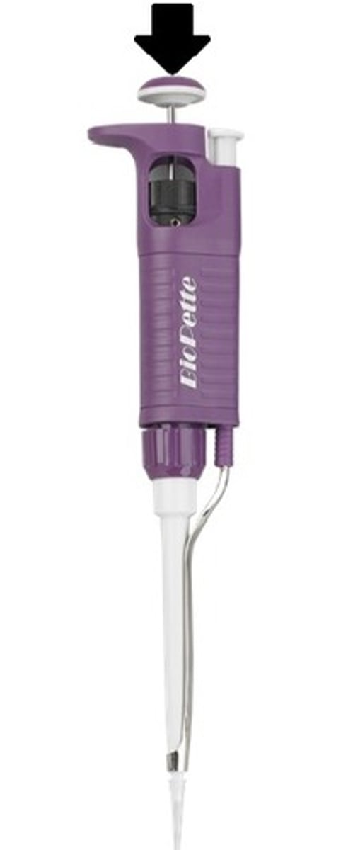 <p>Plunger is depressed and raised to create partial vacuum and draw or dispense liquid.</p>