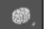 <p>Sponge tool</p>