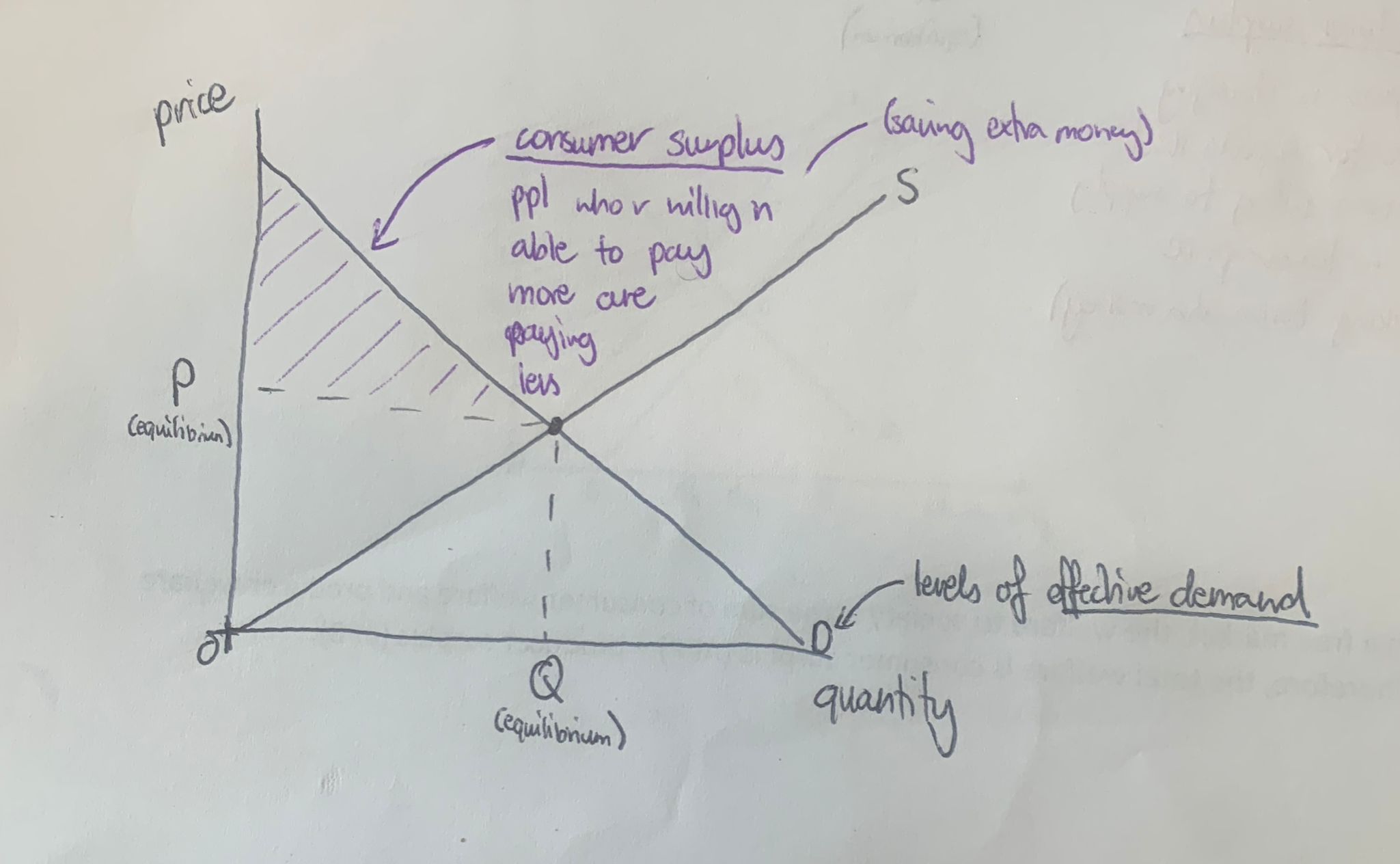 <p><strong>below</strong> the <strong>demand curve</strong> </p><p><strong>above </strong>the <strong>price line</strong></p>